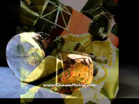 GnawaMaVie — Mâalem Mahmoud Guinea             "  Negecha  "