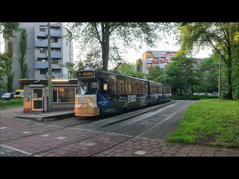 Leidschendam Noord - Den Haag Leyenburg - Centraal Station | HTM tramlijn 6 | GTL8 3130 De Oost | 21
