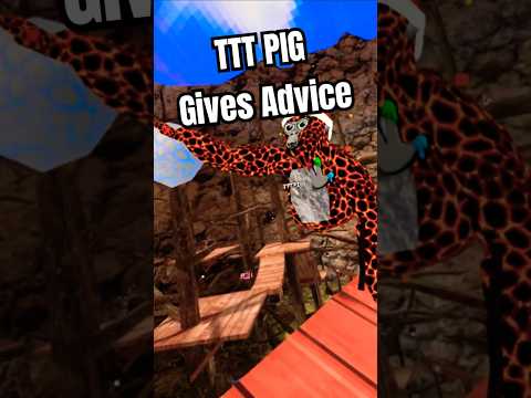 🔥TTT PIG is Awesome 🔥 #gorillatag #gtag #vr #bmoreinlife #gtagdad #tttpig #ttt #shortsfeed #shorts