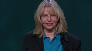 Los árboles hablan entre sí