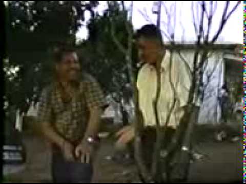 Tocata pavão bonito