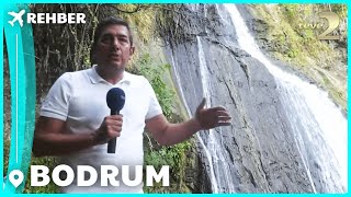Rehber 284. Bölüm | BODRUM FULL BÖLÜM İZLE!