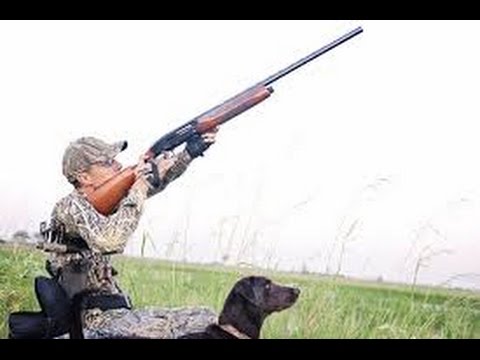 To Kill A Mockingbird Trailer Official Trailer (2015)