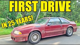 First Drive Of The Abandoned Mustang GT Didn't End Well But We Discovered Its Crazy History!