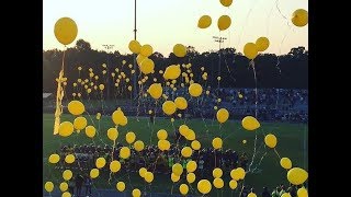 Download lagu Woodstock HS Tribute Mix 2017 #LIVELIKEMADDI mp3