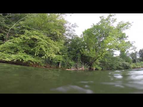 SPEAR FISHING FOR CATFISH BOYDS MILL POND SC