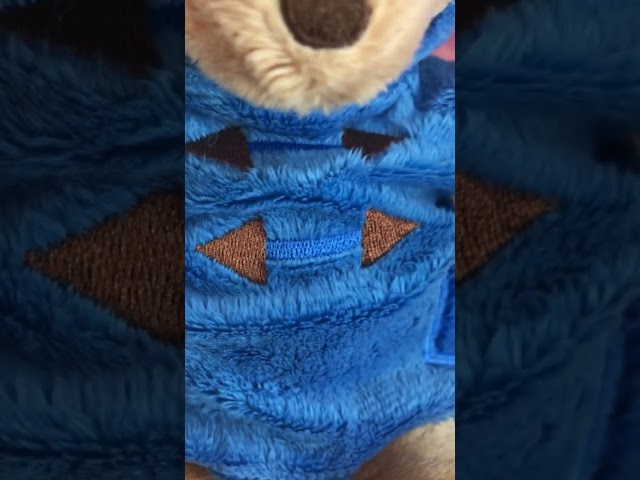 Vídeo relacionado con Rainbow Designs - Pequeño oso Paddington con sombrero rojo y abrigo azul, diseño de peluche para habitación infantil y fans de Paddington