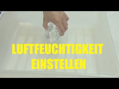 Jetzt die richtige Luftfeuchtigkeit einstellen in der Brutmaschine - Motorbrüter - Inkubator