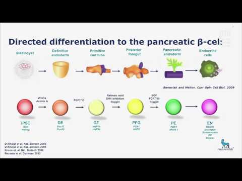 Chronische Müdigkeit Diabetes Infusion von Geranien in diabetes