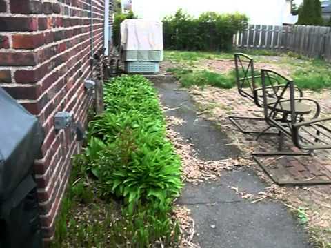 Desperate Landscape and Yard... HELP!