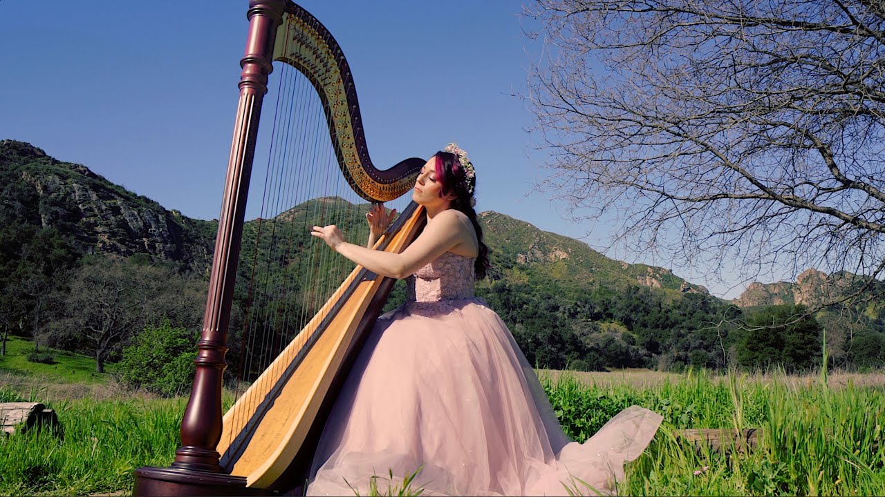 Promotional video thumbnail 3 for Gabriela Harpist