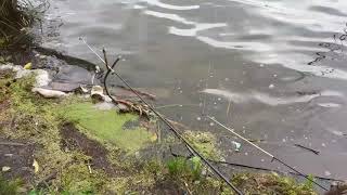 Ссылка