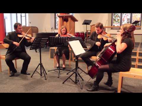 Mr Brightside - The Killers - performed by Northern String Quartet