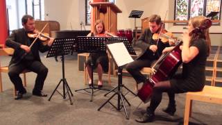 Mr Brightside - The Killers - performed by Northern String Quartet