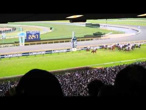 JAPAN CUP horse racing 4
