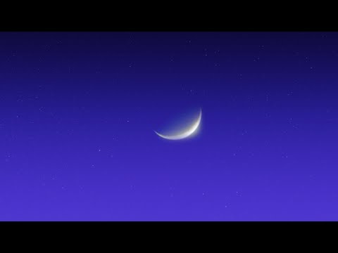 Video Placeholder