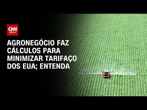 Agronegócio calcula perdas com tarifaço dos EUA e busca alternativas | CNN 360º