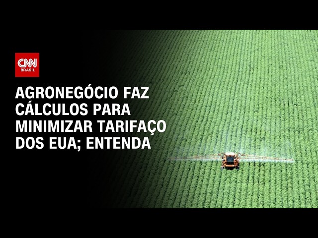 Agronegócio calcula perdas com tarifaço dos EUA e busca alternativas | CNN 360º