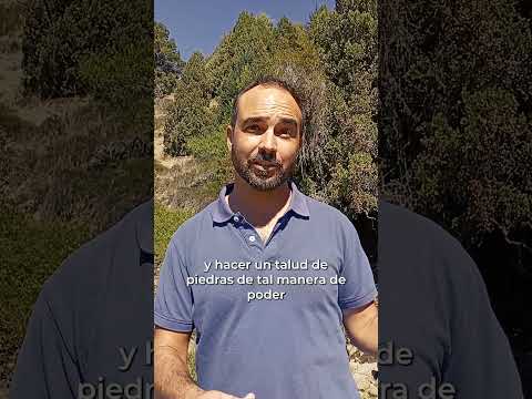 Este verano, los trabajos en la toma del Río Quilquihue garantizaron la provisión de agua