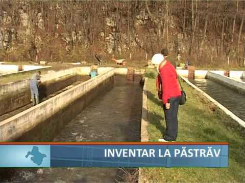 pterostilbene pierderea de grăsime