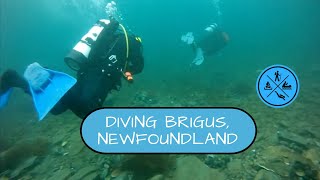 preview picture of video 'Diving Brigus, Newfoundland with Bluefin, Joe & Gord'