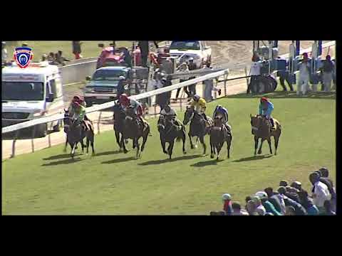 RM16 R4 | Afdeek | D.Holland