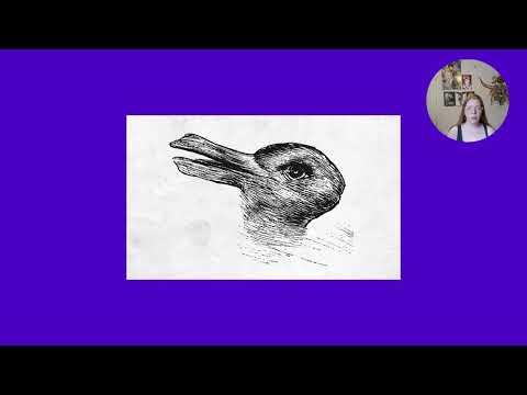 Why Illusions Happen  - - -  Cards Against Humanity Science Ambassador Scholarship 2026