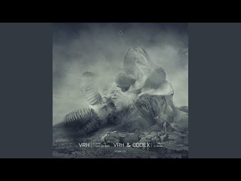 Let's Go Back (Original Mix)