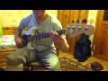 Fender Prodigy Bass 