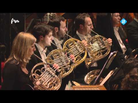 Richard Strauss - Alpensinfonie (Alpine Symphony) finale