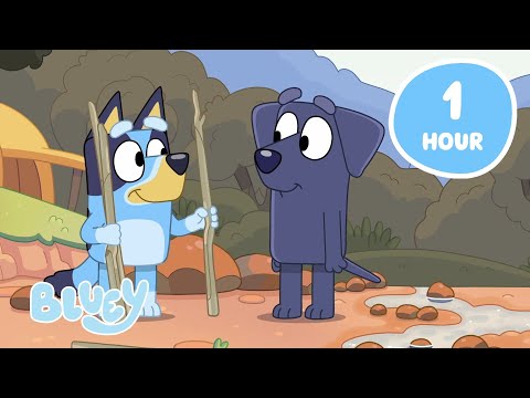 🔴LIVE: Cosy Vibes with Bluey 🍂 💙 | Relaxing Moments with the Heelers | Bluey