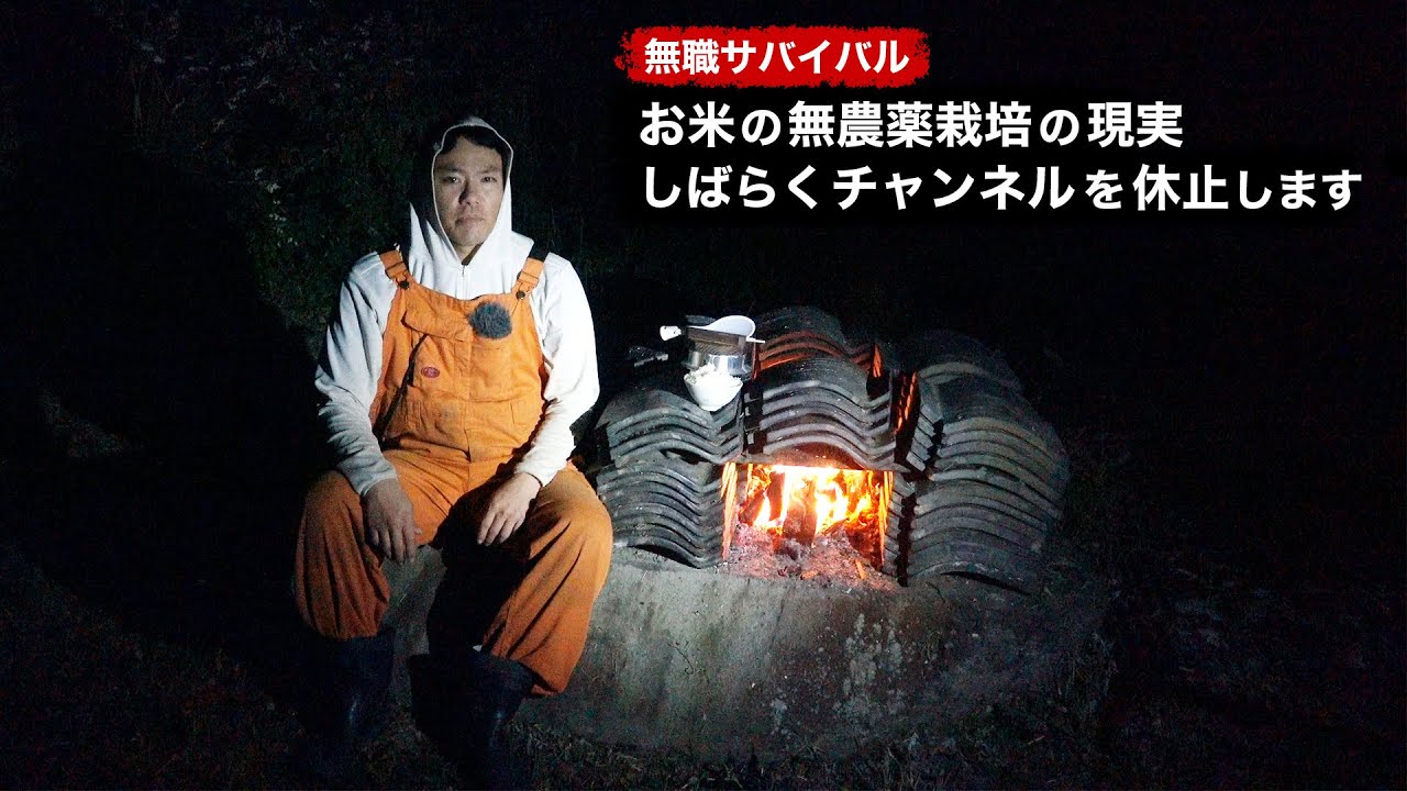 【無職サバイバル】お米の無農薬栽培の現実。しばらくチャンネルを休止します【限界集落で無職になる＃59】