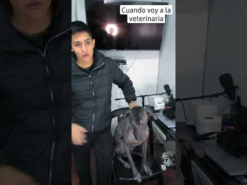 Cuando voy a la veterinaria
