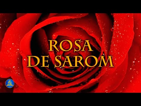 Rosa De Sarom video