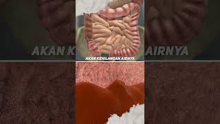 Download lagu This Is What Happens to Our Bodies When Constipation Strikes!!! 🥵🤯 mp3