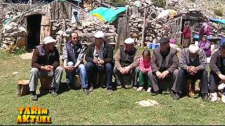 TARIM AKTÜEL Isparta Yenişarbademli Körmenlik Yaylası