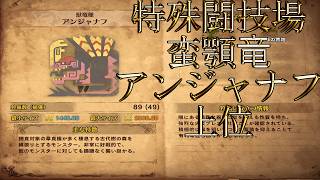 【切り抜き】限界までやり続けた後のMONSTER HUNTER WORLD：ICEBORNE 特殊闘技場アンジャナフ 上位編
