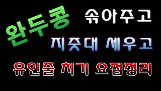 [텃밭농부.963]  완두콩 파종 22일 솎고 지줏대 세우고 유인줄 묶어주는 방법 #완두콩재배