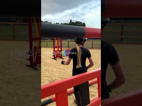 DOES DEMIR JUMP PANDA? @HarlowLunaWhite