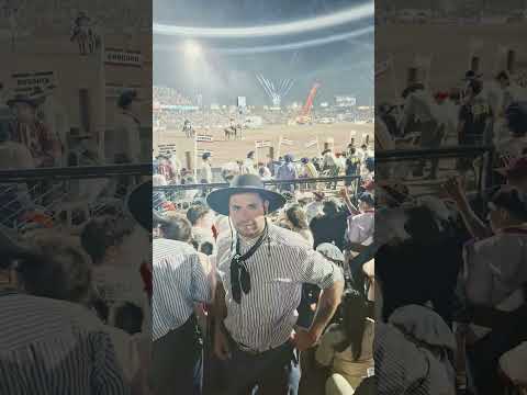 Algo de lo que fue Jesús Maria 2026. #horse #caballos #Jineteadas #Festival.