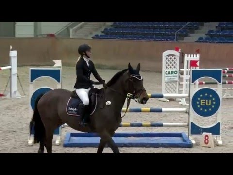Charlotte Schöber und Sunsation - Springprüfung Kl. M*