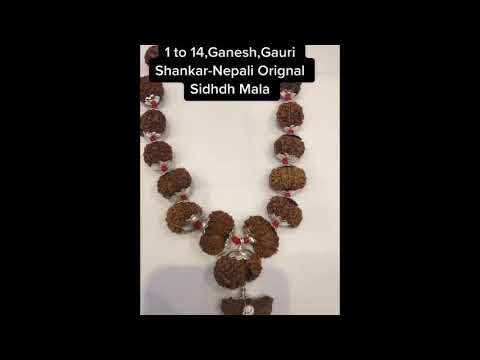 Rudraksha Mala , Indra Mala ,1 Mukhi To 14 Mukhi Mala , Gouri shankar rudraksha , Ganesh Rudraksha.
