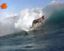 Surf,  Kelly Slater - Tom Carroll - Jeff Booth