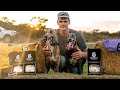 World S Fastest Dogs Insane Dog Races