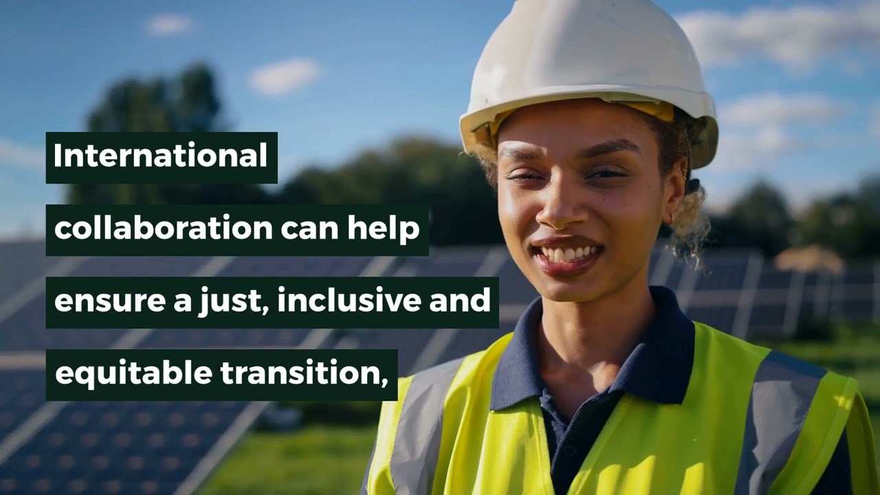 Renewable Energy and Jobs: Annual Review 2024