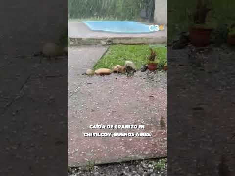 CAÍDA DE GRANIZO EN CHIVILCOY, BUENOS AIRES | Cadena 3 Argentina