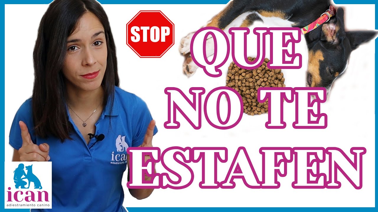 QUE NO TE ESTAFEN con la ALIMENTACIÓN CANINA (PIENSO o CROQUETAS PARA PERROS)
