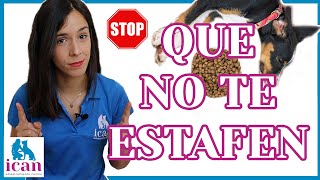 QUE NO TE ESTAFEN con la ALIMENTACIÓN CANINA (PIENSO o CROQUETAS PARA PERROS)