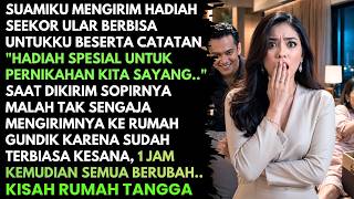 Download lagu SUAMIKU KIRIM HADIAH ULAR BERBISA UNTUKKU TAPI SOPIRNYA MALAH ANTAR KE RUMAH GUNDIK, DIA SYOK KARENA mp3 Download lagu SUAMIKU KIRIM HADIAH ULAR BERBISA UNTUKKU TAPI SOPIRNYA MALAH ANTAR KE RUMAH GUNDIK, DIA SYOK KARENA mp3