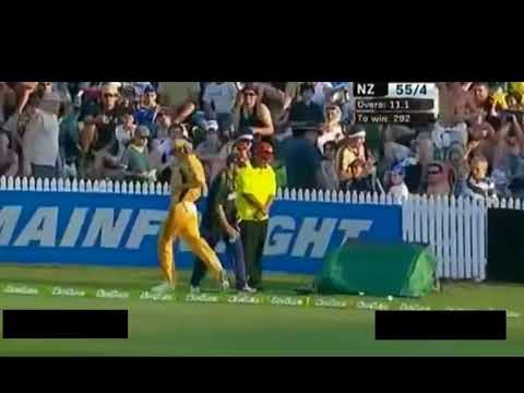 New Zealand were 41-4 chasing 347